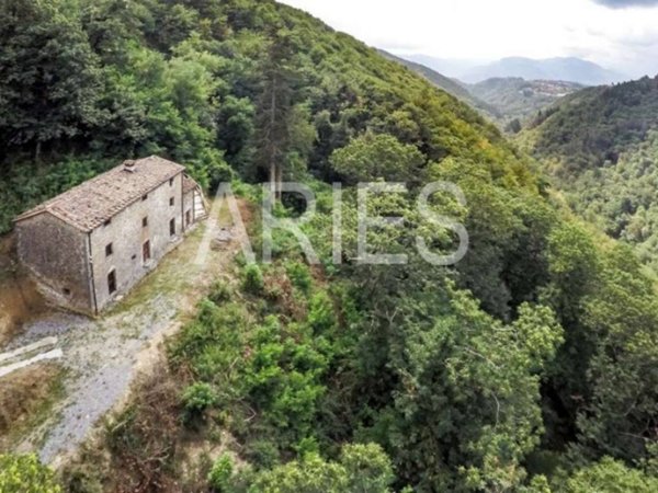 intera palazzina in vendita a Coreglia Antelminelli in zona Gromignana