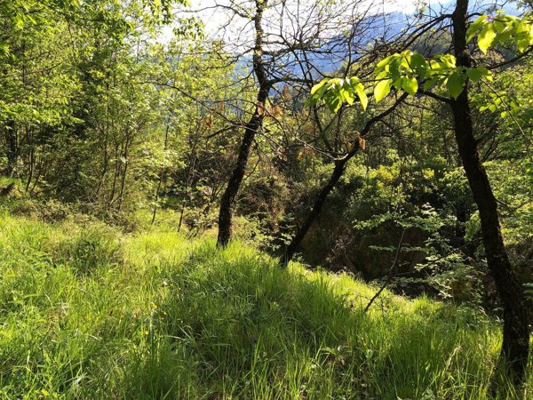 appartamento in vendita a Coreglia Antelminelli in zona Gromignana