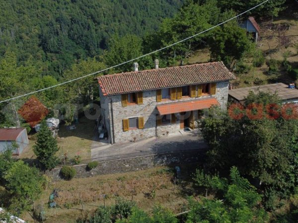 casa indipendente in vendita a Coreglia Antelminelli in zona Ghivizzano