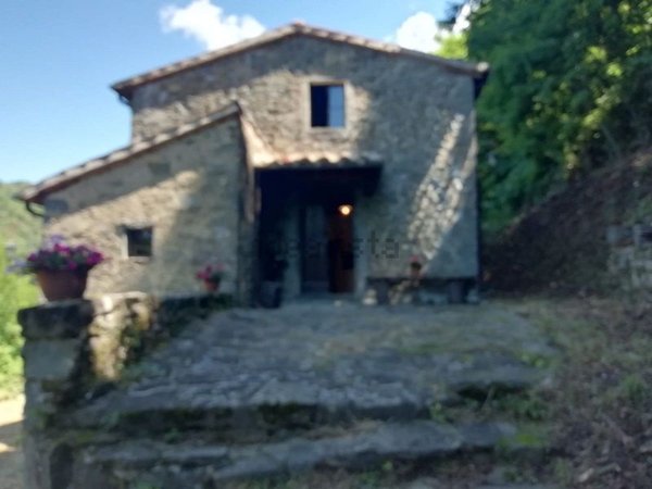 casale in vendita a Coreglia Antelminelli