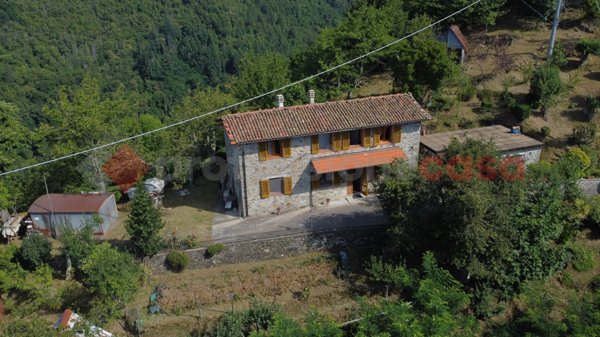 casa indipendente in vendita a Coreglia Antelminelli