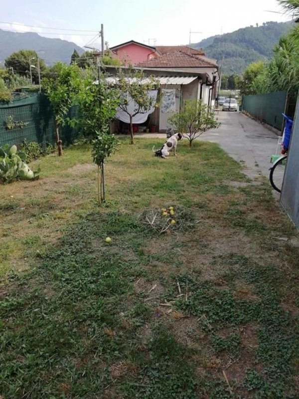 casa indipendente in vendita a Forte dei Marmi