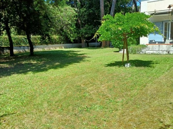 casa indipendente in vendita a Forte dei Marmi in zona Vittoria Apuana