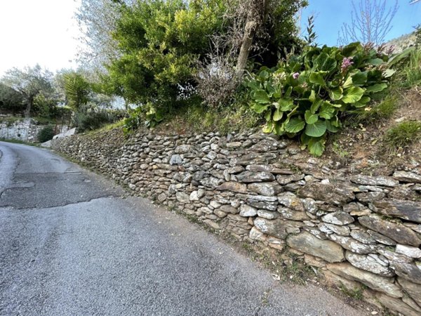 casa indipendente in vendita a Forte dei Marmi