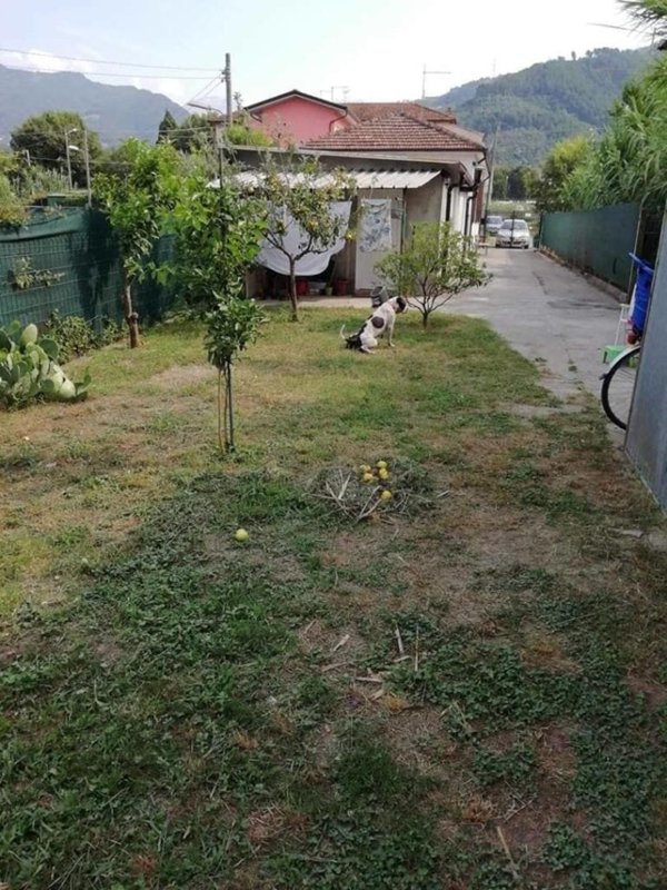 casa indipendente in vendita a Forte dei Marmi