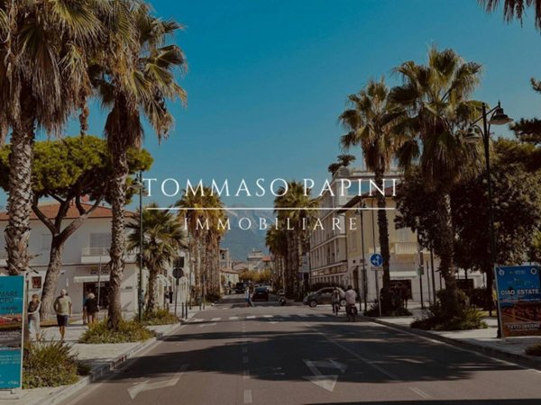 casa indipendente in vendita a Forte dei Marmi in zona Vittoria Apuana