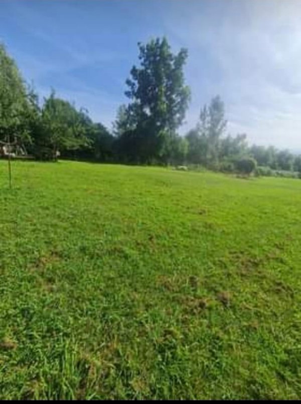 terreno agricolo in vendita a Forte dei Marmi