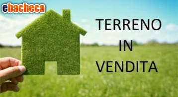 casa indipendente in vendita a Forte dei Marmi