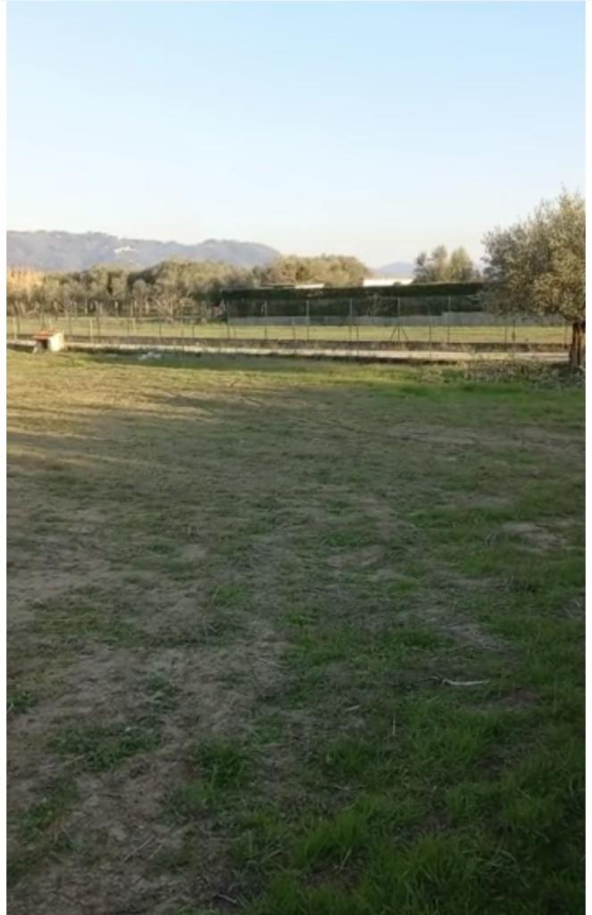 terreno agricolo in vendita a Forte dei Marmi