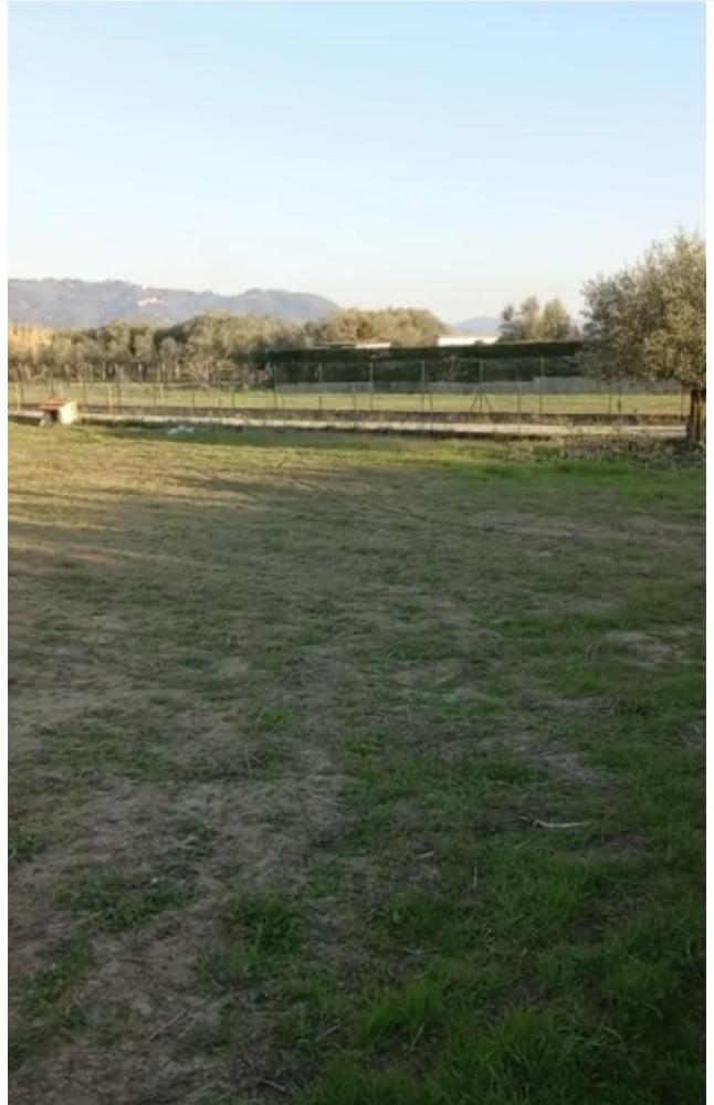 terreno agricolo in vendita a Forte dei Marmi