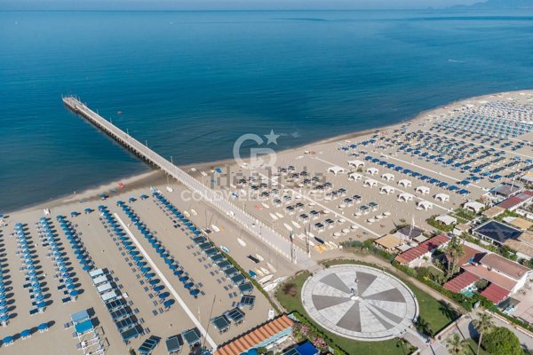 casa indipendente in vendita a Forte dei Marmi in zona Vittoria Apuana