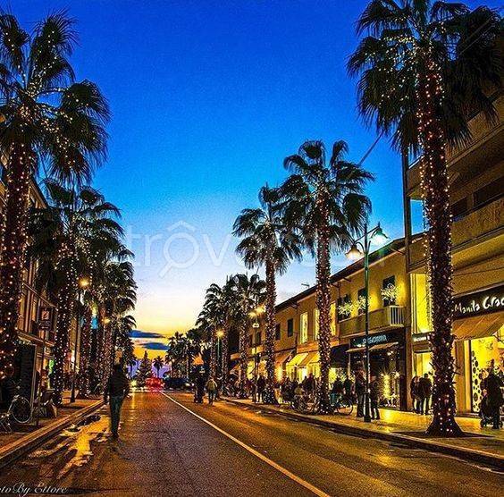 casa indipendente in vendita a Forte dei Marmi