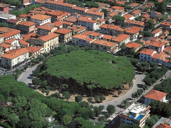 negozio in vendita a Forte dei Marmi