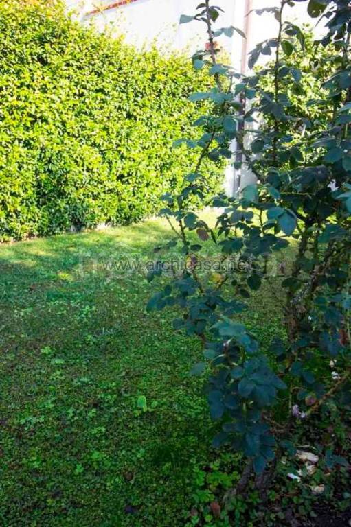 casa indipendente in vendita a Forte dei Marmi