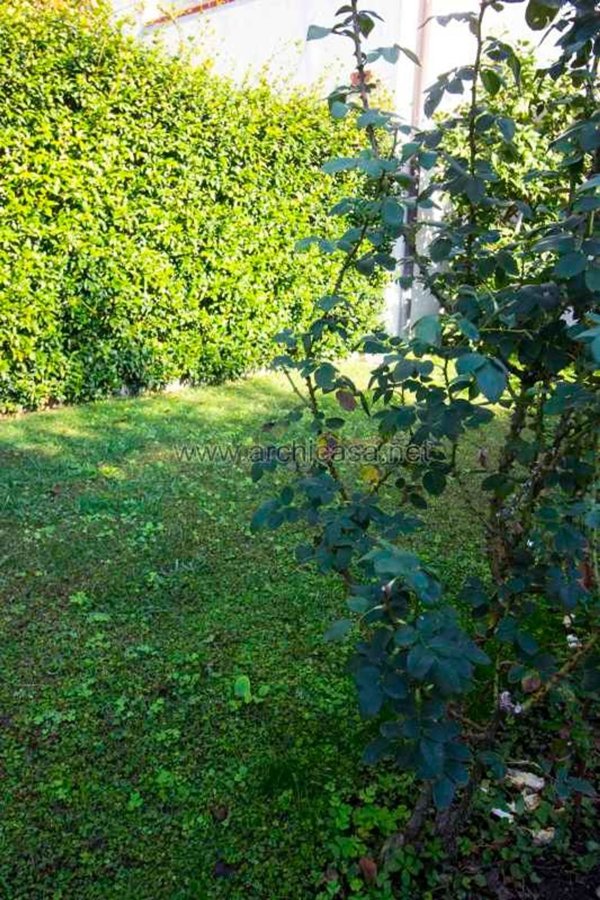 casa indipendente in vendita a Forte dei Marmi