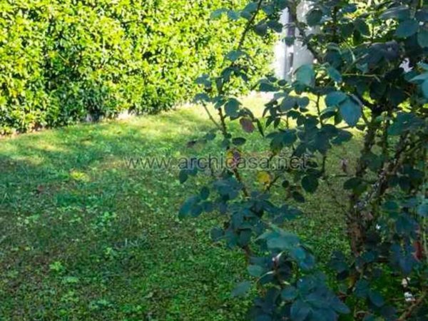 casa indipendente in vendita a Forte dei Marmi