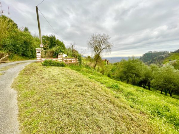 casa indipendente in vendita a Forte dei Marmi
