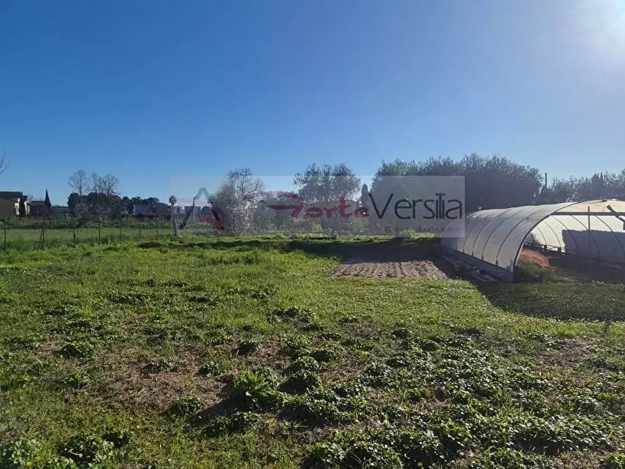 terreno agricolo in vendita a Forte dei Marmi