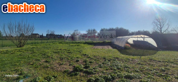 terreno agricolo in vendita a Forte dei Marmi