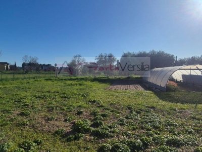 terreno agricolo in vendita a Forte dei Marmi