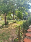 casa indipendente in vendita a Forte dei Marmi