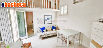 casa semindipendente in vendita a Forte dei Marmi
