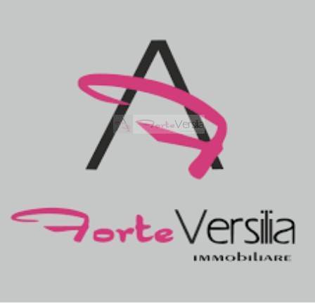 locale commerciale in vendita a Forte dei Marmi