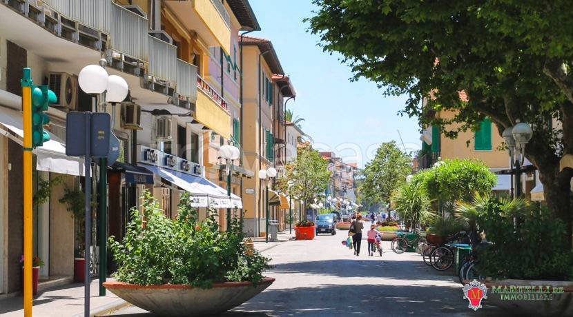 casa indipendente in vendita a Forte dei Marmi