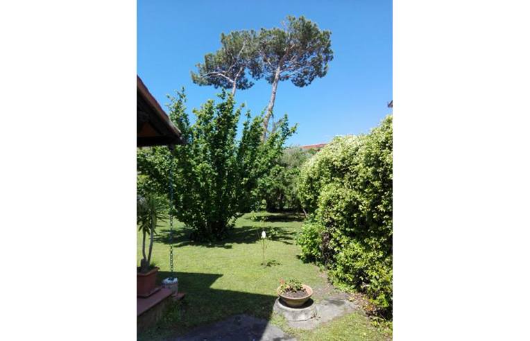 casa indipendente in vendita a Forte dei Marmi
