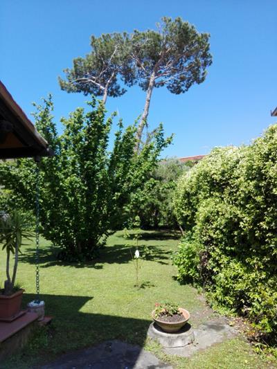 casa indipendente in vendita a Forte dei Marmi