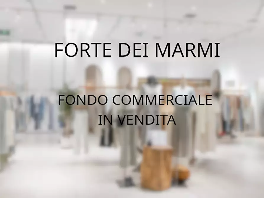 negozio in vendita a Forte dei Marmi in zona Vittoria Apuana