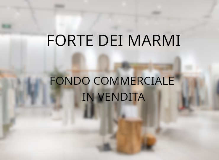 mansarda in vendita a Forte dei Marmi in zona Vittoria Apuana
