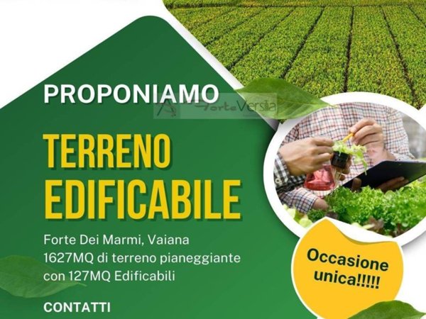 terreno agricolo in vendita a Forte dei Marmi in zona Vaiana