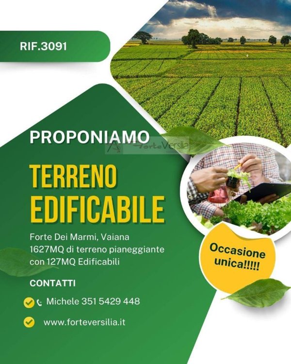 terreno agricolo in vendita a Forte dei Marmi in zona Vaiana