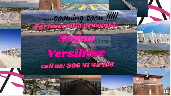 appartamento in vendita a Forte dei Marmi