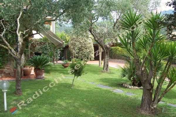 casa indipendente in vendita a Forte dei Marmi