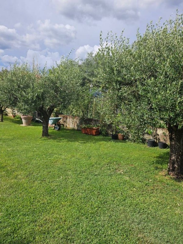 casa indipendente in vendita a Forte dei Marmi