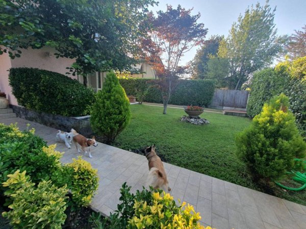 casa indipendente in vendita a Forte dei Marmi