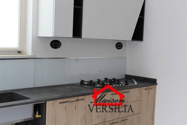 casa indipendente in vendita a Forte dei Marmi in zona Vittoria Apuana