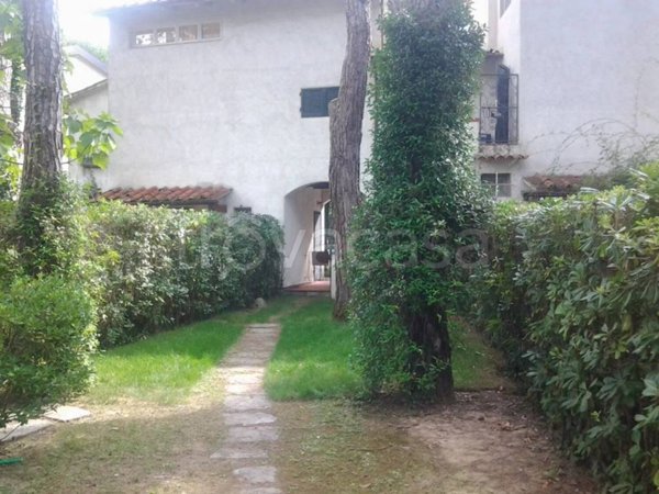 casa indipendente in vendita a Forte dei Marmi in zona Vittoria Apuana