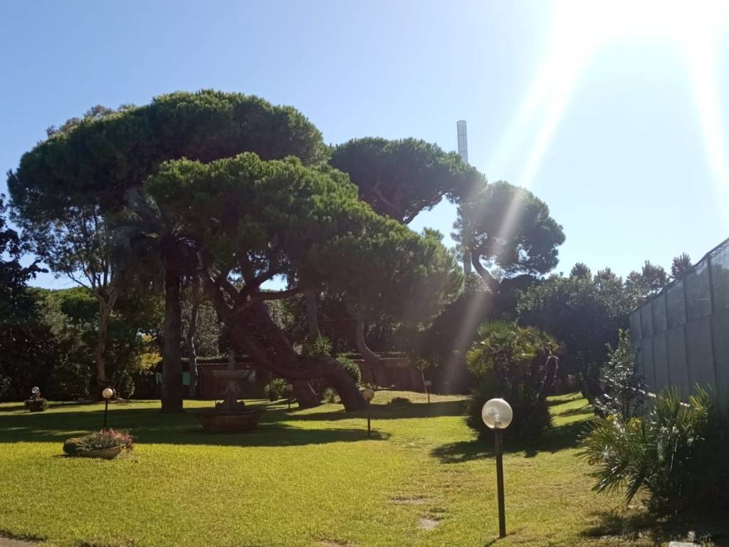 casa indipendente in vendita a Forte dei Marmi in zona Vaiana