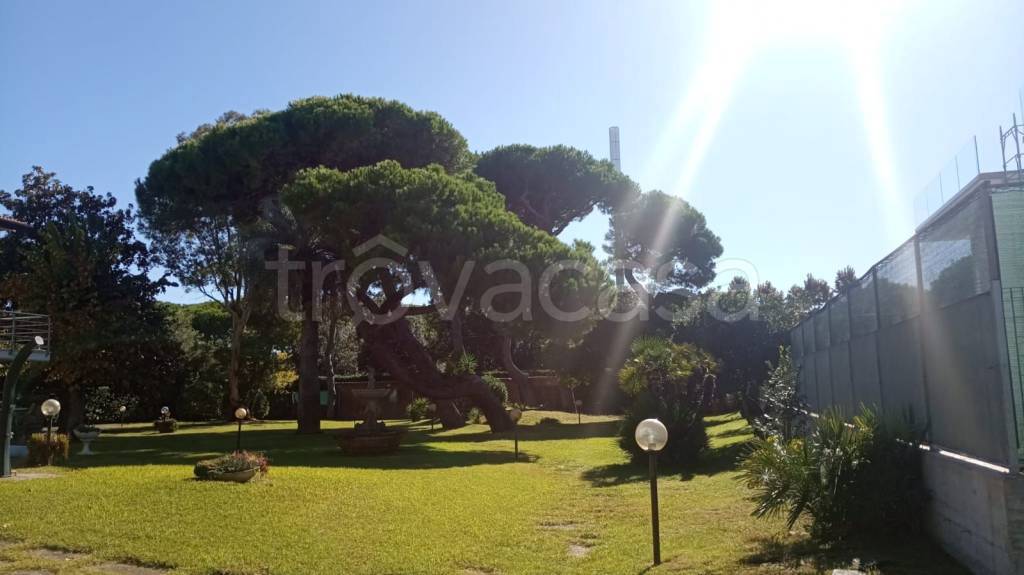 casa indipendente in vendita a Forte dei Marmi