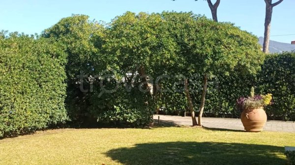 casa indipendente in vendita a Forte dei Marmi in zona Vaiana