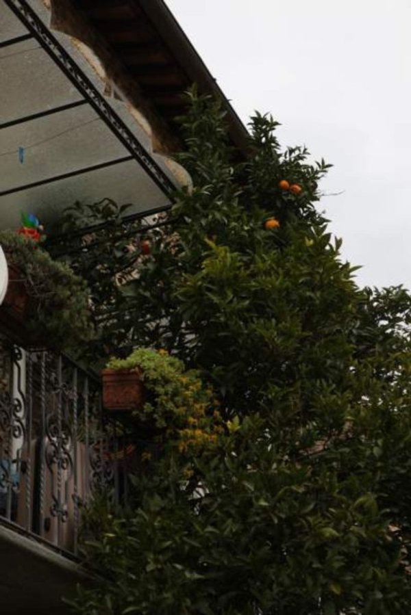 appartamento in vendita a Forte dei Marmi