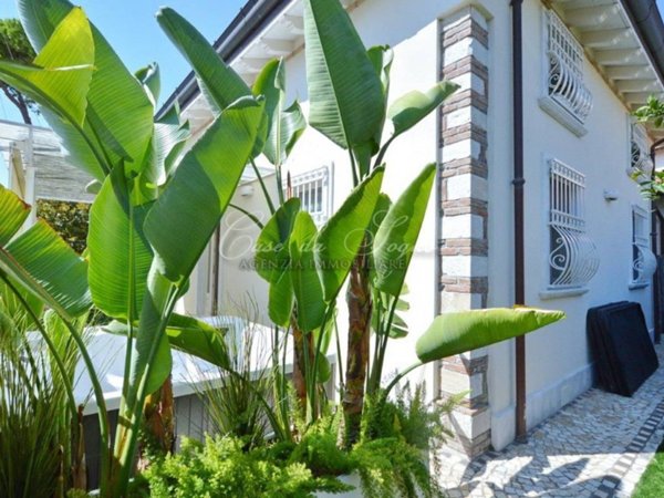 casa indipendente in vendita a Forte dei Marmi
