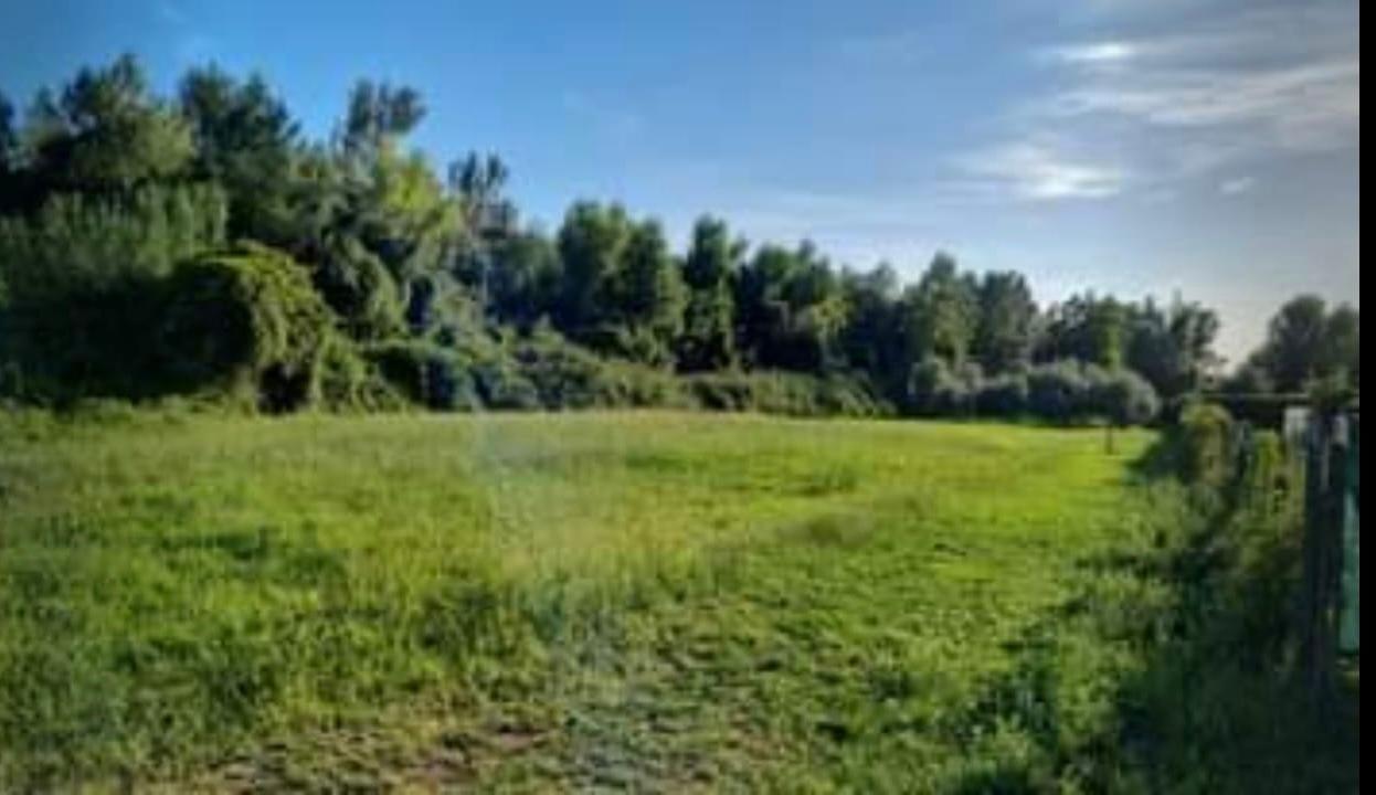 terreno agricolo in vendita a Forte dei Marmi