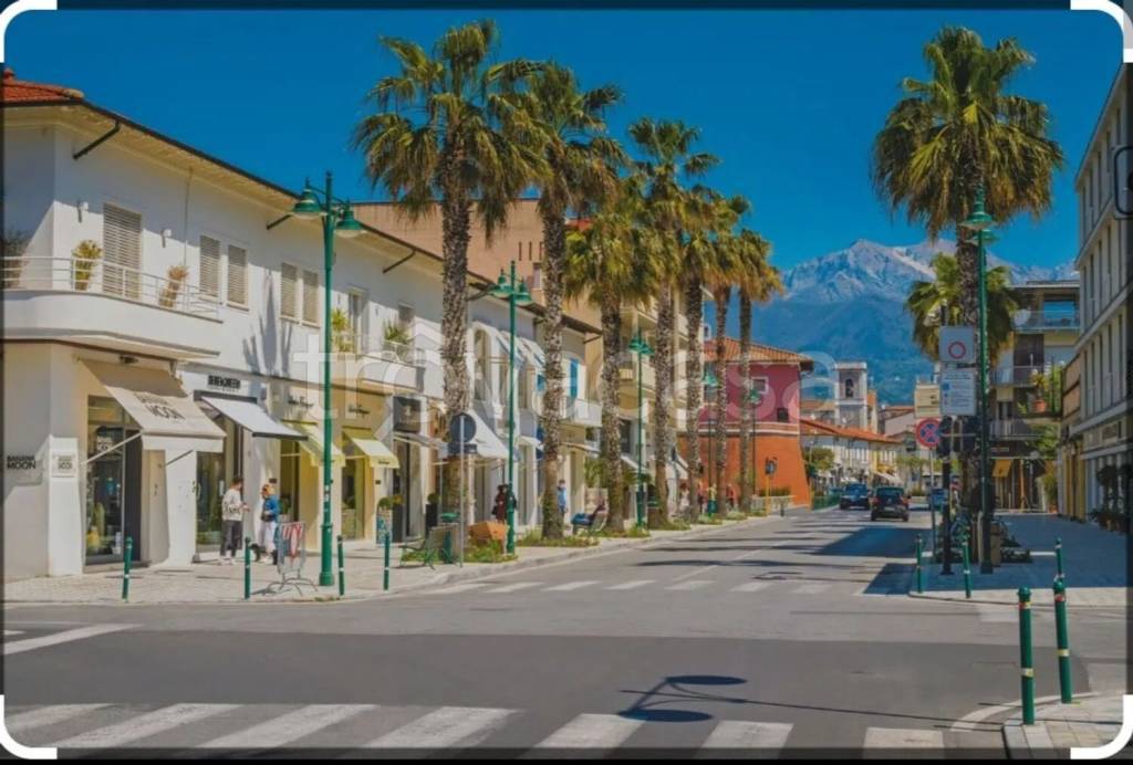 casa indipendente in vendita a Forte dei Marmi