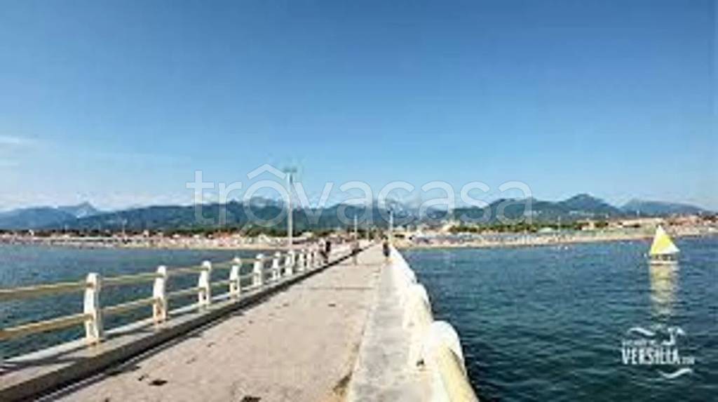 casa indipendente in vendita a Forte dei Marmi