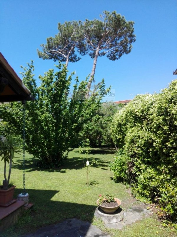 casa indipendente in vendita a Forte dei Marmi in zona Vittoria Apuana