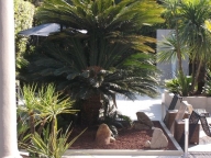 casa indipendente in vendita a Forte dei Marmi